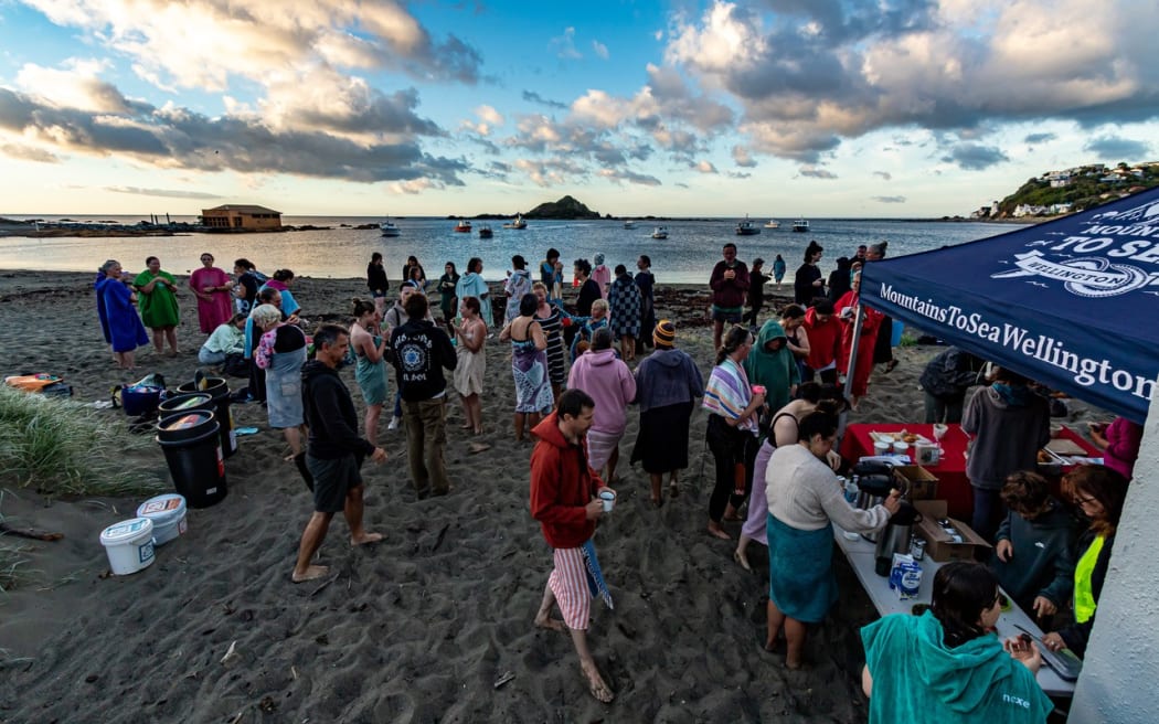 Seaweed Fest 2025.