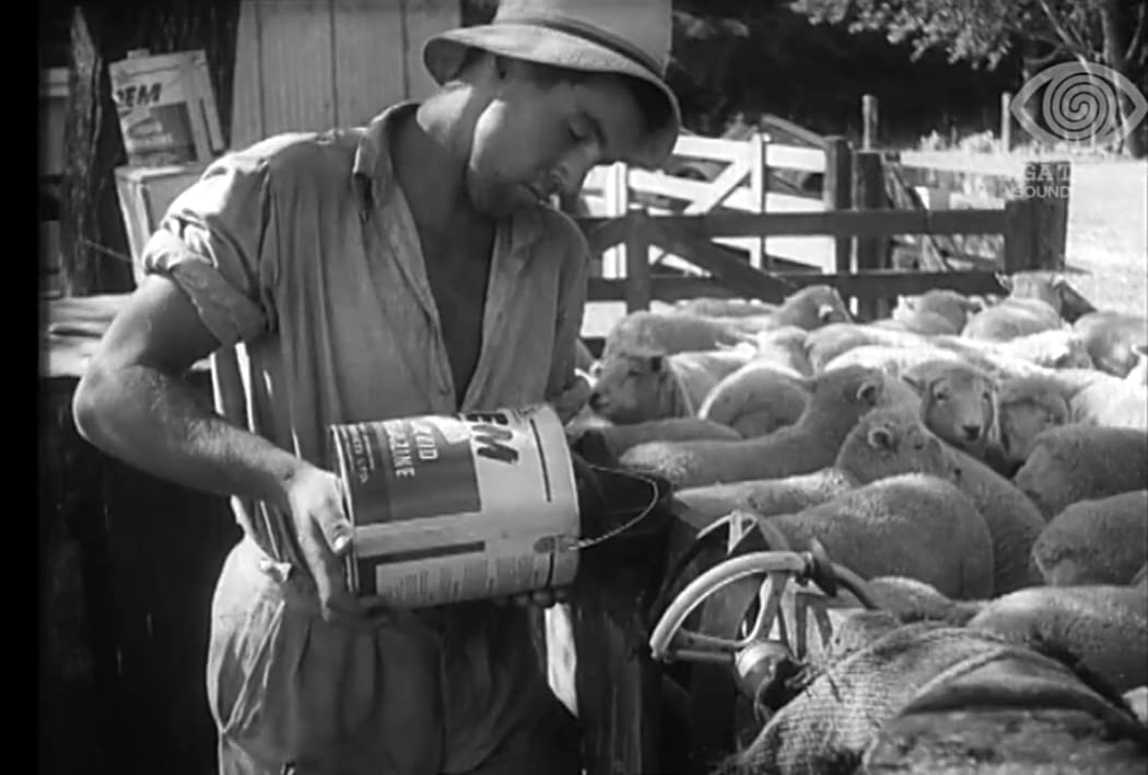 Working on the farm in 1956
