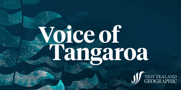 Title 'Voice of Tangaroa' overtop a stylised illustration of kelp on a dark background