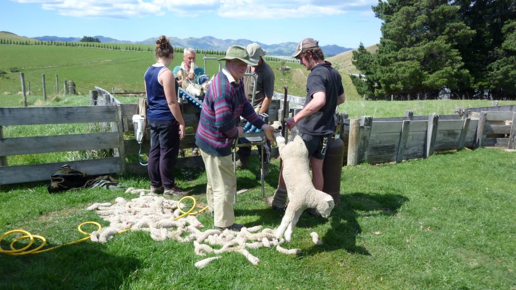 Tailing in North Canterbury