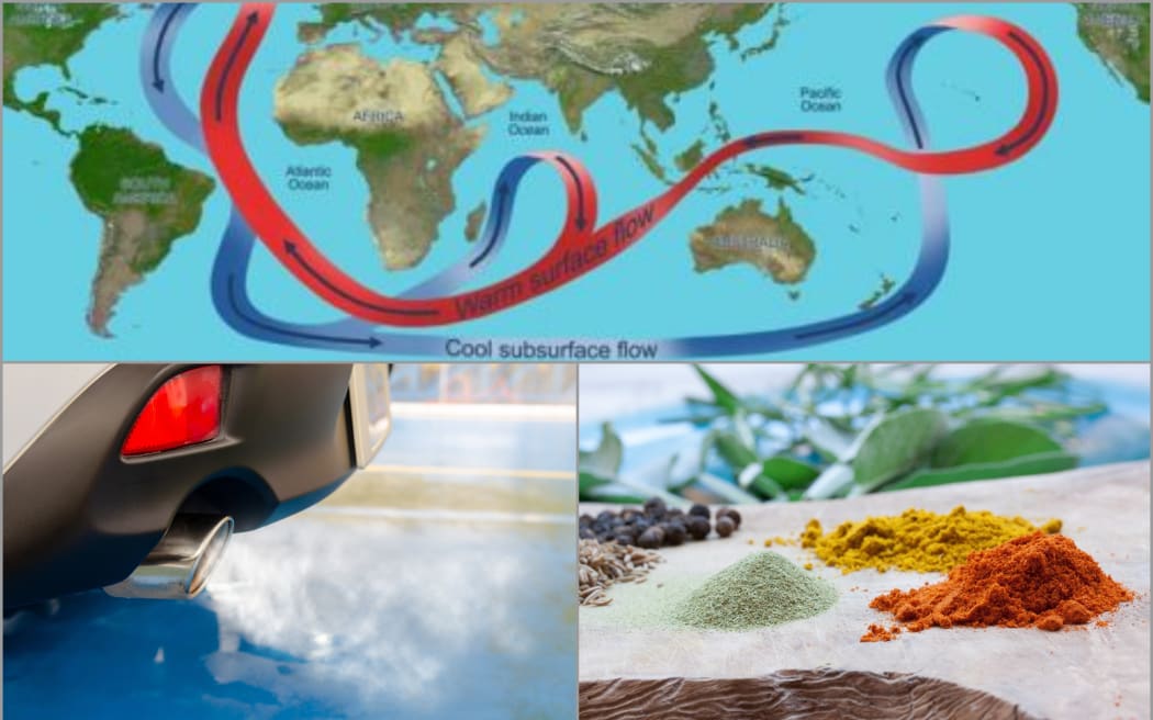 Ocean currents, car exhaust, spices