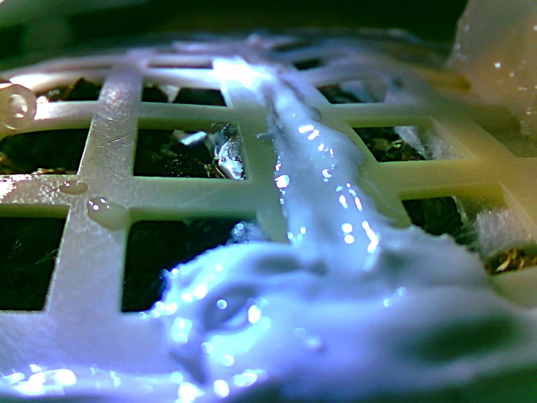 Image sent by China's Chang'e-4 probe shows one of the cotton seeds carried to the moon by the probe has sprouted on the moon.
