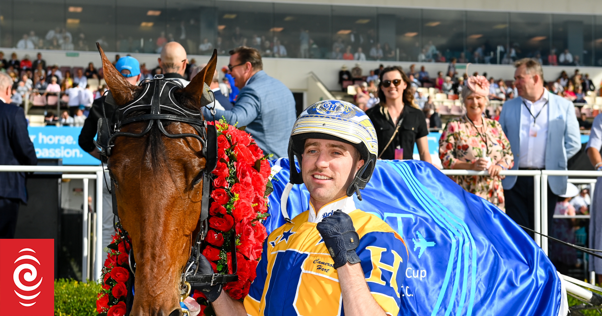 New Zealand Trotting Cup - all you need to know