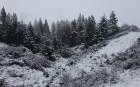 Snow in the Mackenzie country following the large fire near Twizel.