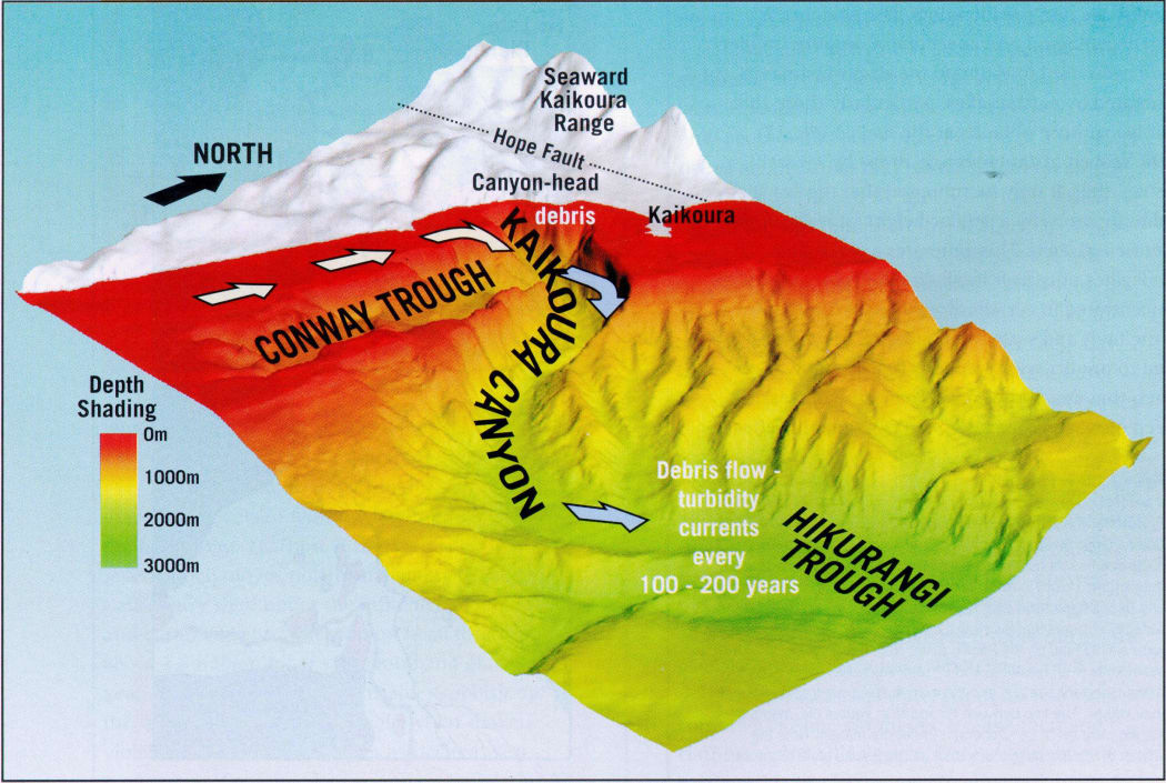 A NIWA model of the Kaikōura Canyon.