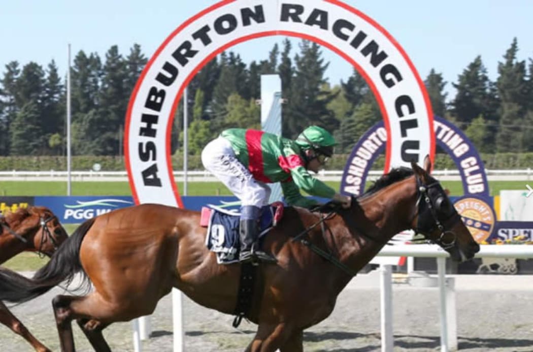 Young jockey dies after race collision at Ashburton Raceway RNZ News