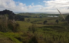 The view west to the Kaipara Harbour from Tuhirangi, with Gibbs' Farm sculptures in the background.