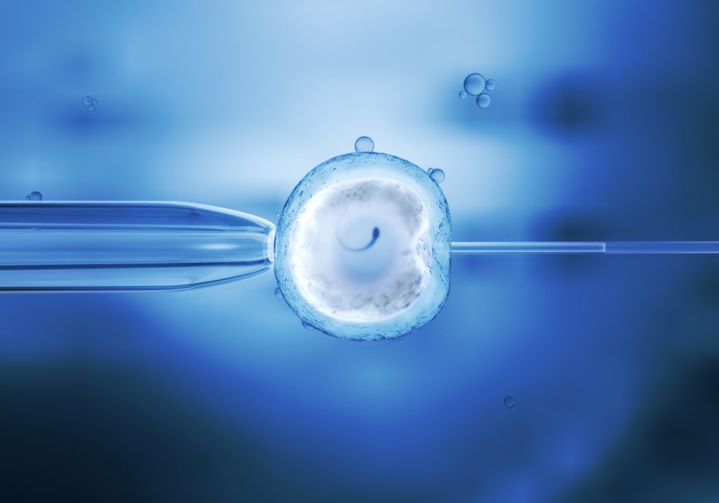 A new artificial intelligence approach to IVF could improve the rate of success and minimize the risk of multiple pregnancies.