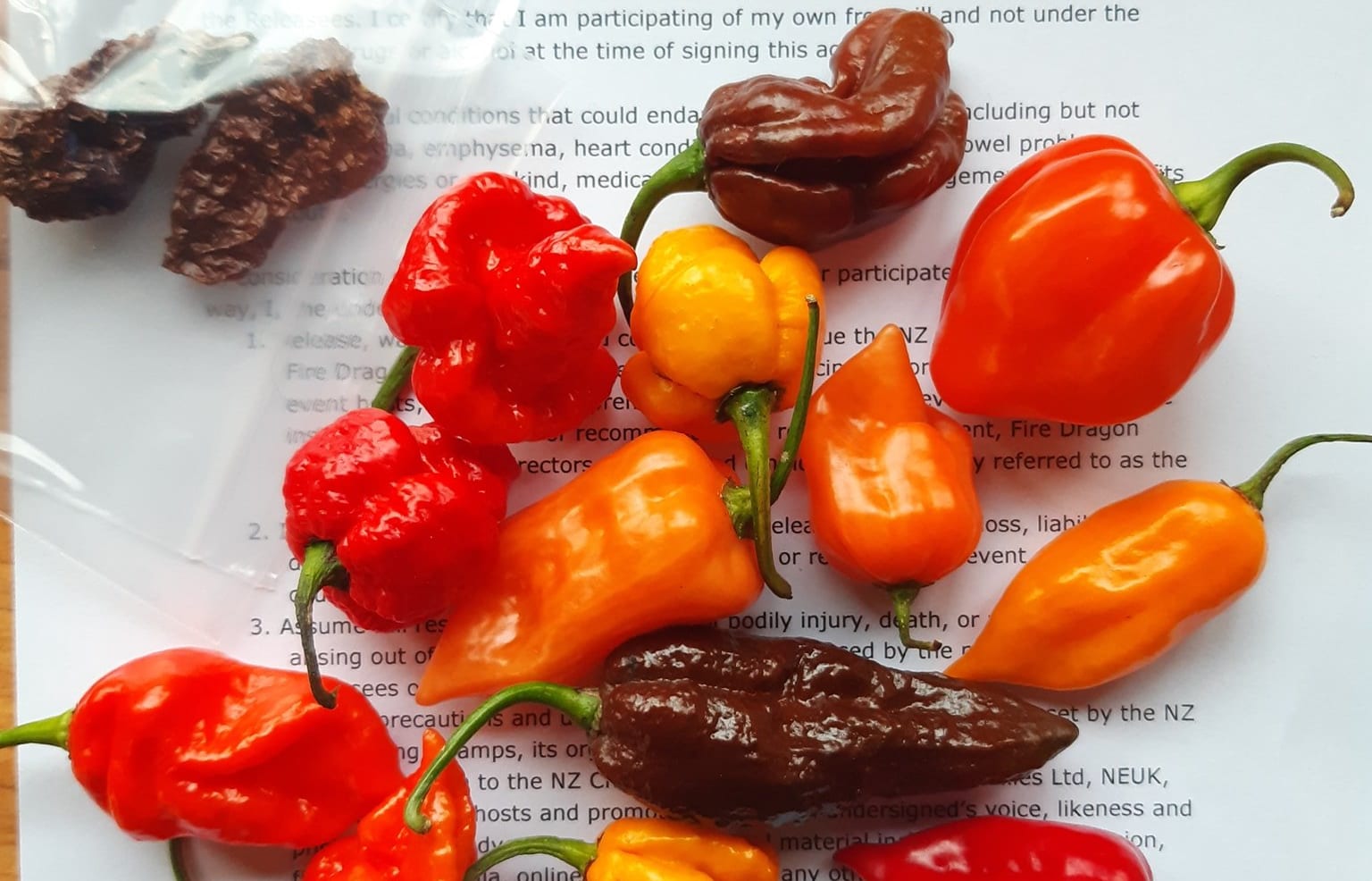 A selection of chillies.