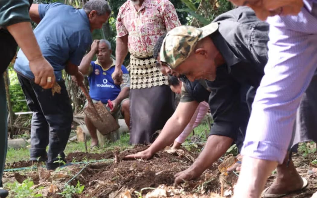Nearly 90 per cent of Tonga's population resides in rural areas, and most of them are small holder farmers who typically cultivate root crops, providing food security, employment, and income.
