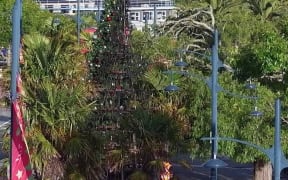 The Timaru Christmas Tree has suffered some significant fire damage overnight.