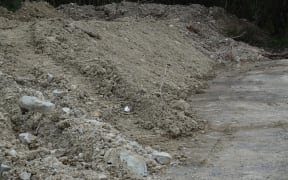 Piles of mud and silt, cleaned off the tarmac, line the roads in Tararua District.