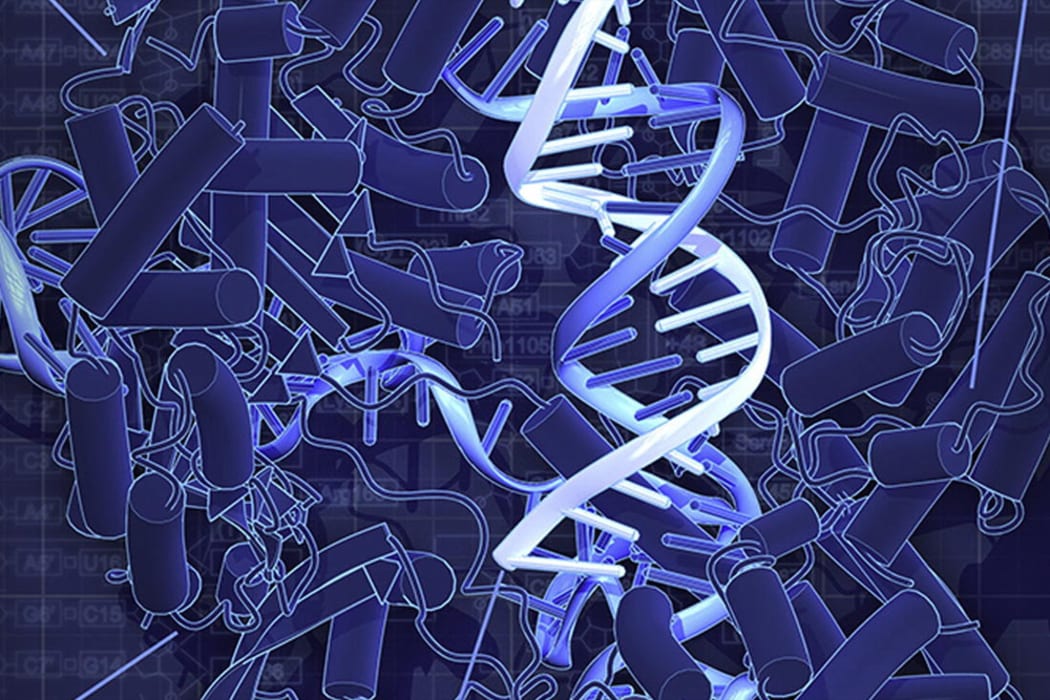 CRISPR is a new tool in genetics, allowing scientists to change, delete and replace genes with an unprecedented level of precision and reliability.