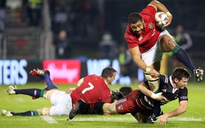 lions big