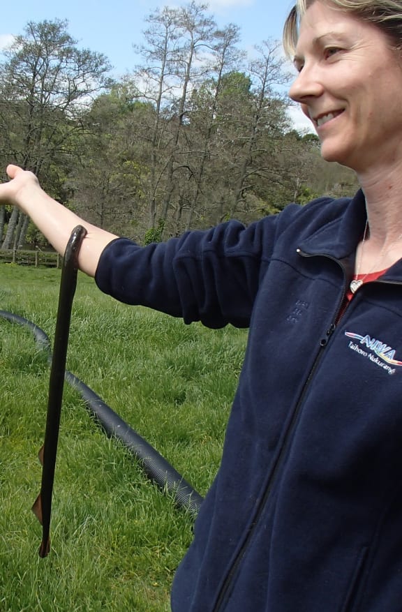 Lamprey hanging off Cindy Baker's arm