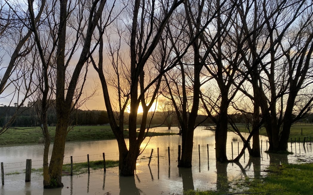 flooded paddock