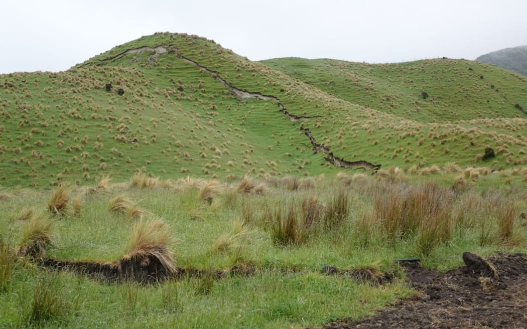 The ruptured faultline can be clearly seen on this Ward farm.