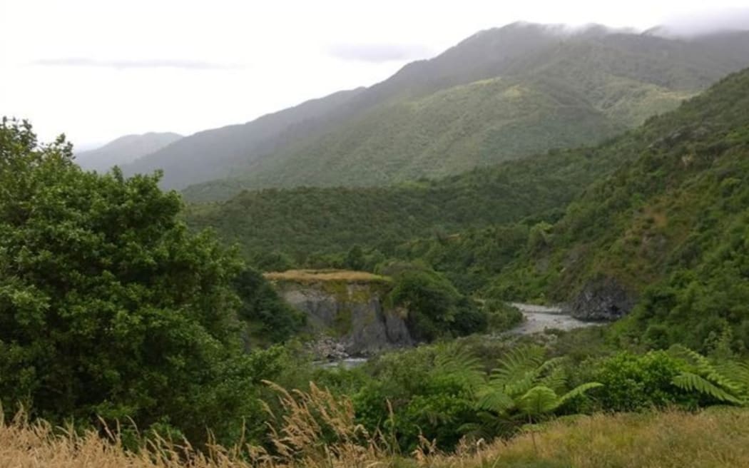 The Ōtaki River at the Ōtaki Forks area, which has been partly cut off since 2020.