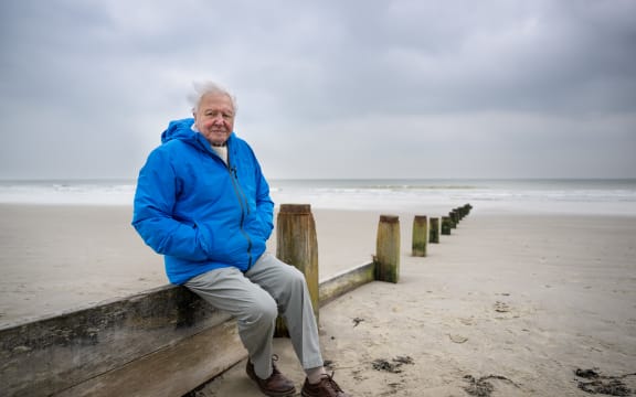 David Attenborough is celebrating his 99th birthday with a dire warning for the future of the planet.