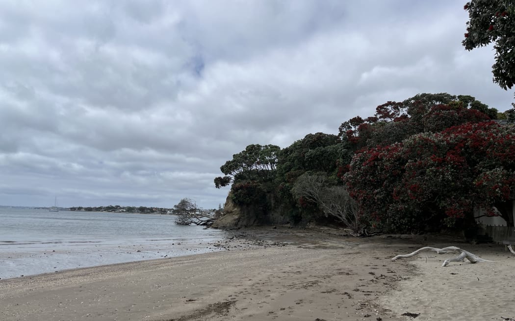 Castor Bay on Auckland's North Shore.