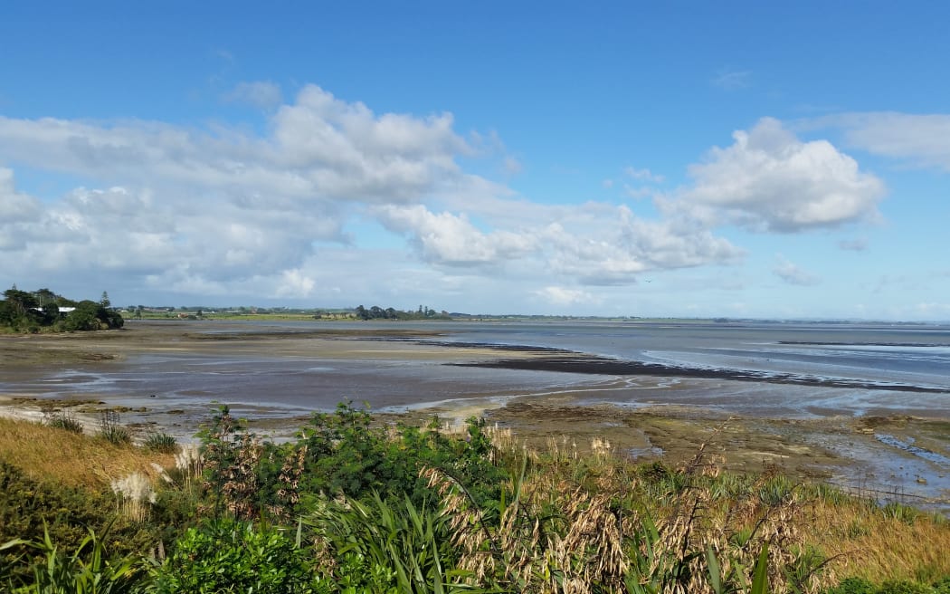 Auckland's harbour' Manukau ailing as advocates reveal