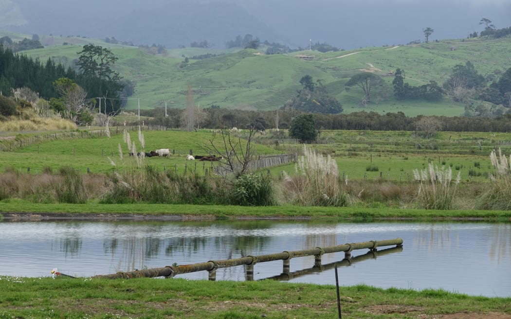 One of Rāwene’s sewage ponds.