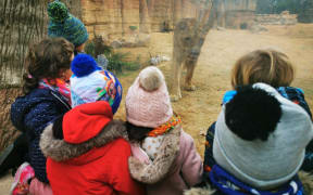 Children watch from behind glass a lion at Barcelona Zoo