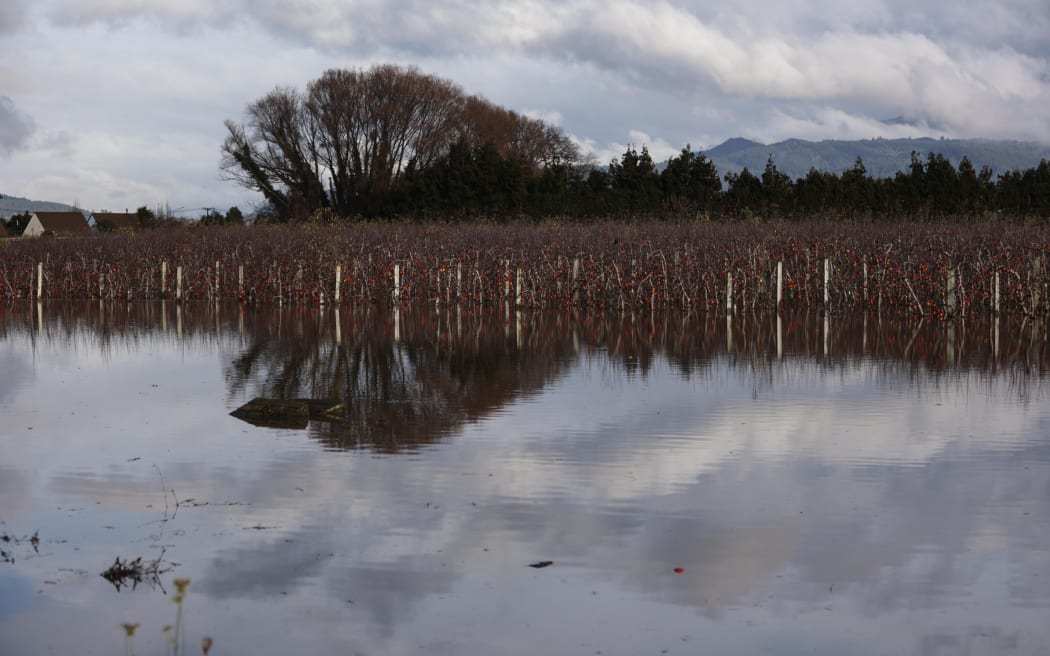 An apple orchard has flooded on SH60 in Motueka.