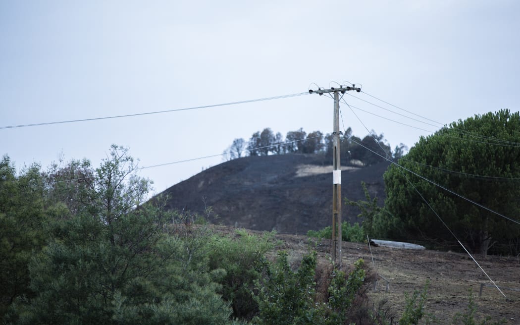 Power lines in the Hawkes Bay area.