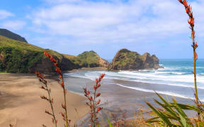 Piha Beach andTaitomo Island