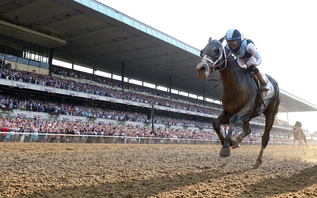 Jockey Jose Ortiz and Tapwrit riding to victory at the Blemont Stakes.