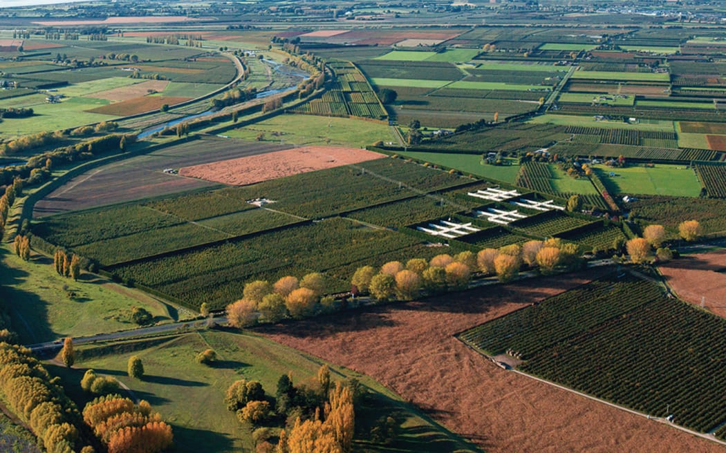 The Heretaunga Plains cover 300 square kilometres of Hawke's Bay.