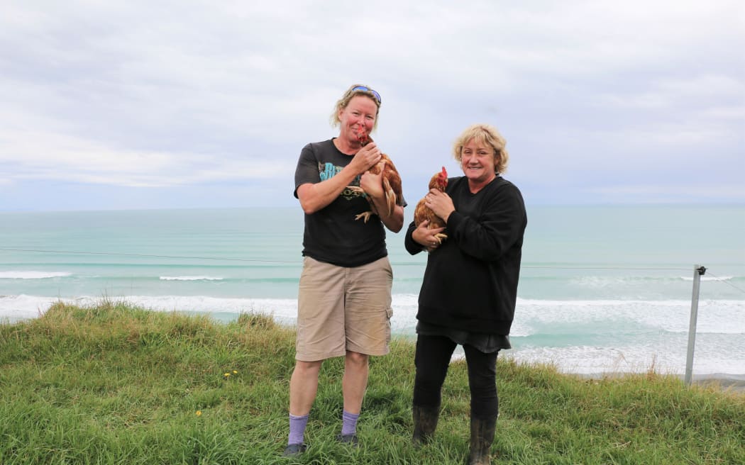 Te Waewae egg farm