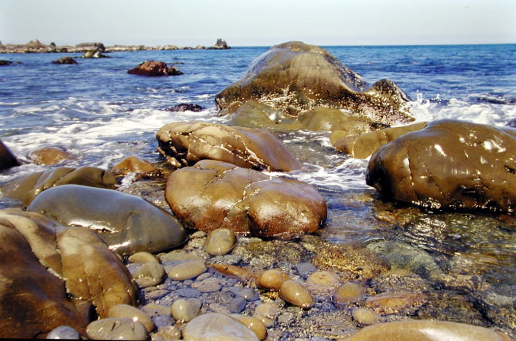 The habitat of eyelash seaweed