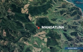 The area where Axle went missing near Tolaga Bay.