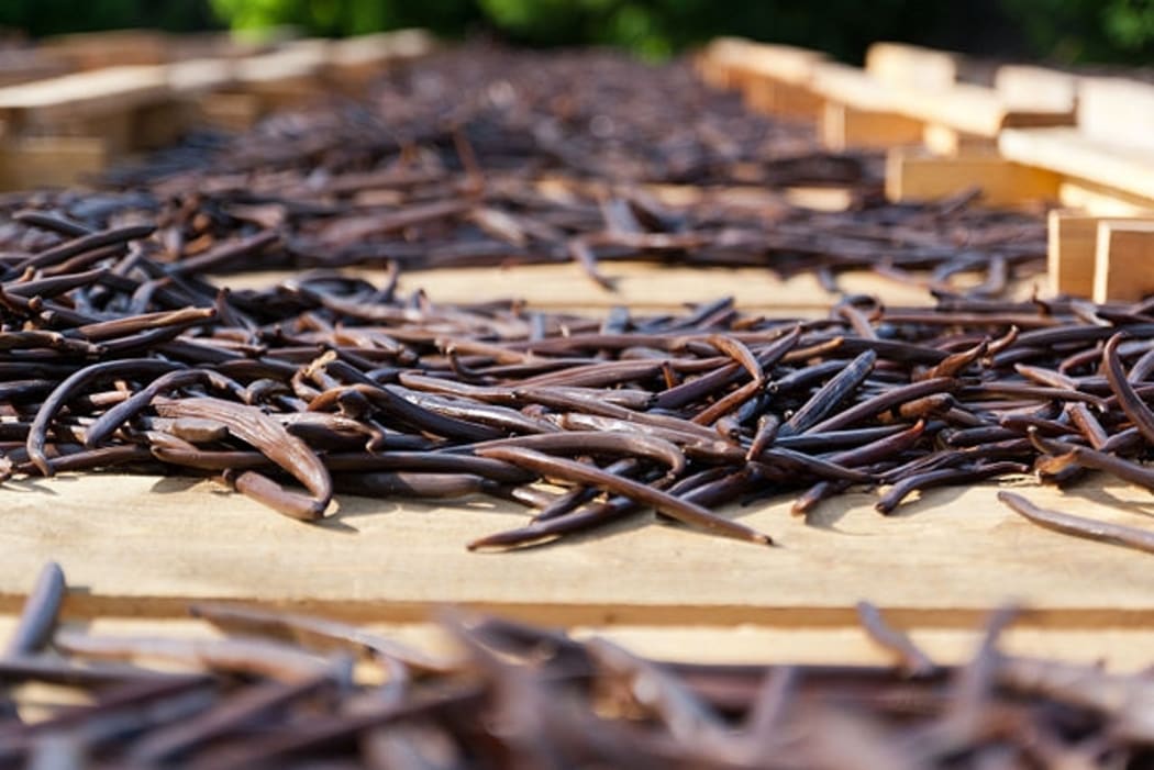 Vanilla Fruit