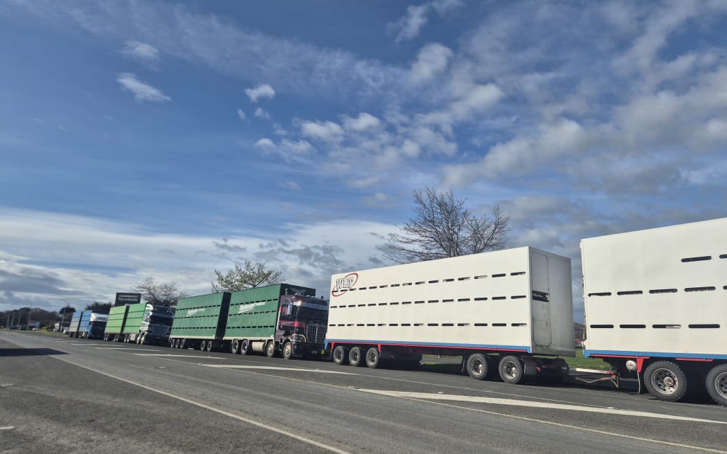 From the saleyards, the livestock are swiftly loaded back onto the waiting stock trucks and carted off.