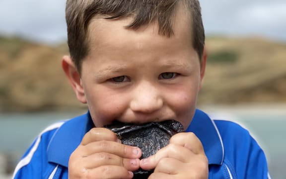 Rydge Lanauze eating paua
