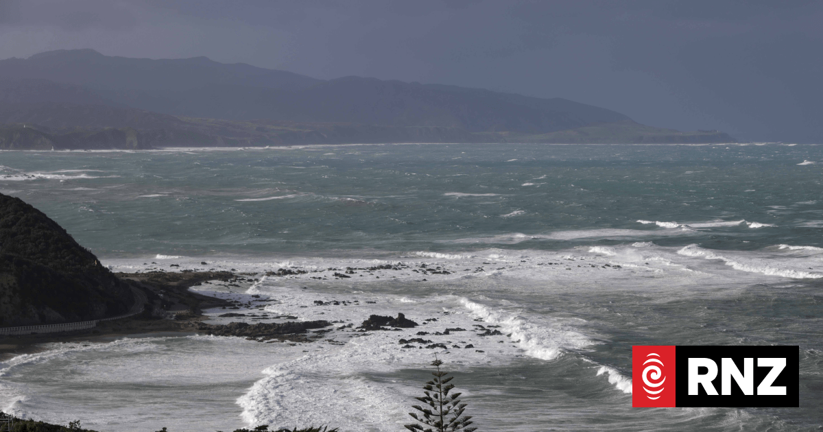 Live: Waves up to 11 metres hit Wellington's coast