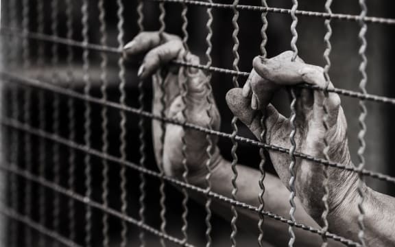 Prisoners' hands (file photograph)