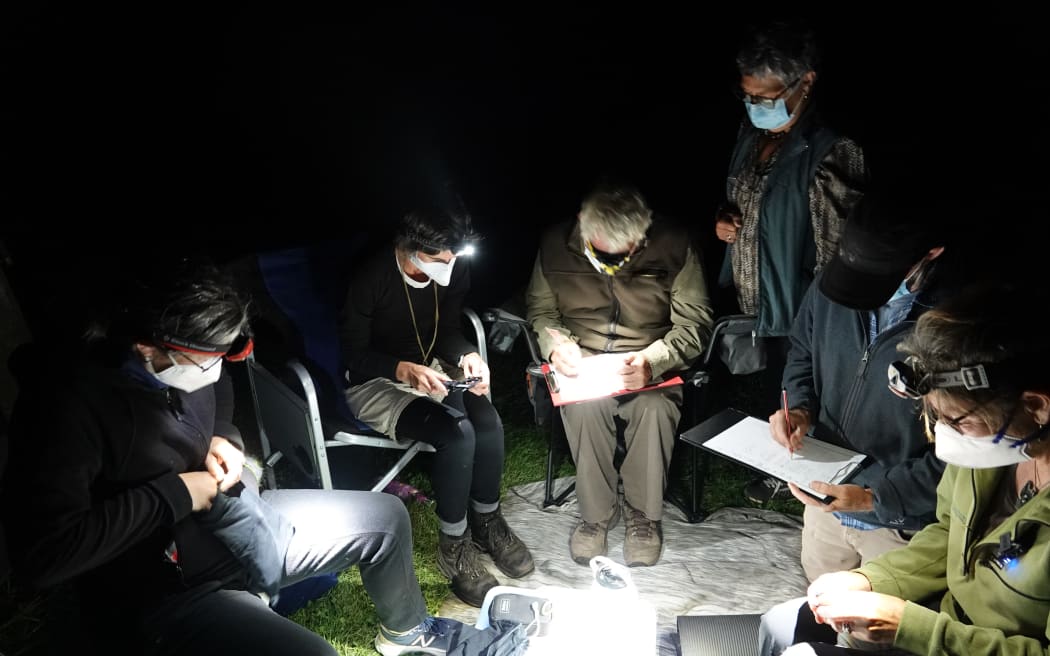 A colony of long-tailed bats have been found roosting in an unlikely spot: a farm shed roof in Central Hawke's Bay.
