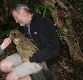 Mick Clout holding a young male kakapo on Whenua Hou/Codfish Island in December 2014.
