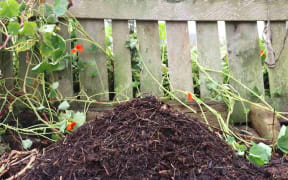 compost