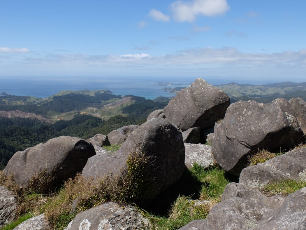 The summit of Mt Huruiki