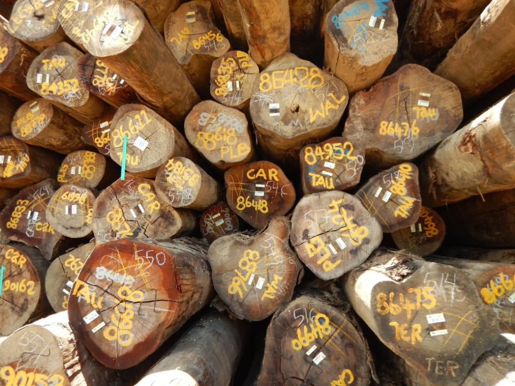 Logs in a log depot on the Sepik river, Papua New Guinea, ready for export.