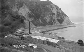 A photo taken by William Archer Price sometime between 1910 and 1930, shows the Tokomaru Sheepfarmers' Freezing Company Ltd works at Waimā, on the northern end of Tokomaru Bay. Koutunui Point and the Tokomaru Bay Wharf are also visible.