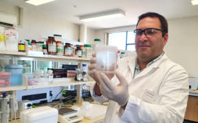 A photo of Hossein Alizadeh holding a swamp manuka sample grown in the lab