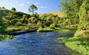River along the Te Waihou Blue Springs walkway in South Waikato.