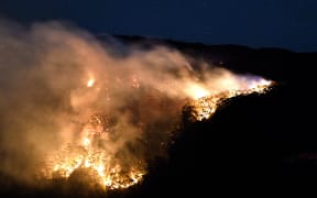 A bushfire burns in the Blue Mountains of the New South Wales on 2 December, 2019.