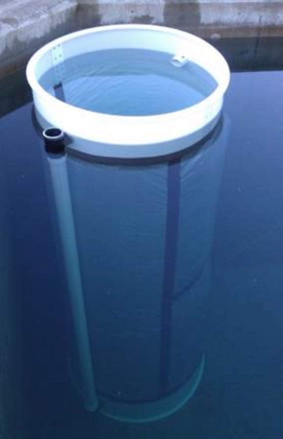 A side view of a 4000-litre mesocosm.